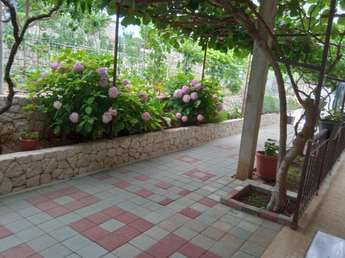 Apartment Tea-1 Donji Okrug  Екстер'єр фото